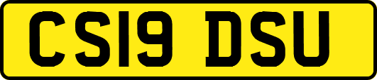 CS19DSU