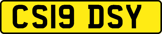 CS19DSY