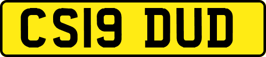 CS19DUD
