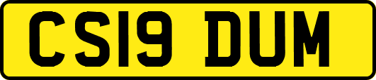 CS19DUM