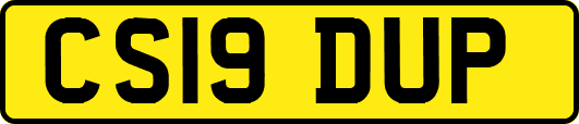CS19DUP