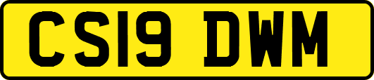 CS19DWM