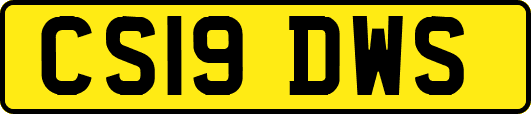 CS19DWS