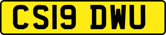 CS19DWU
