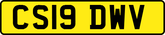 CS19DWV