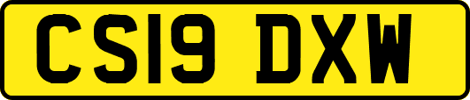 CS19DXW