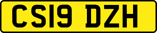 CS19DZH