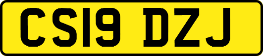 CS19DZJ