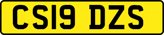 CS19DZS