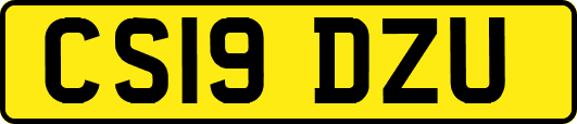 CS19DZU