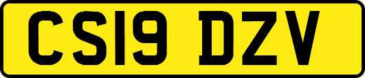 CS19DZV