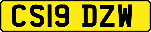 CS19DZW
