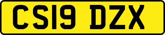 CS19DZX