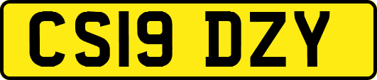 CS19DZY