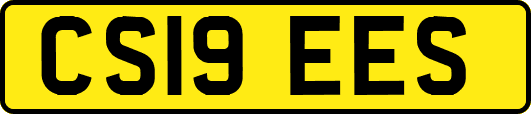 CS19EES