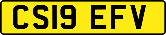 CS19EFV