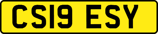 CS19ESY