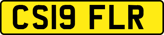 CS19FLR