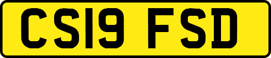 CS19FSD