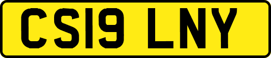CS19LNY