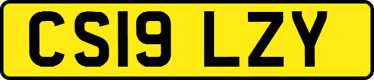 CS19LZY