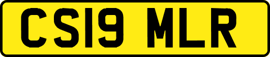 CS19MLR