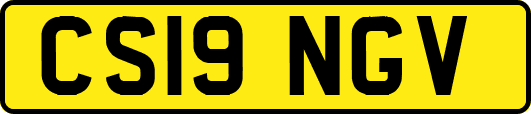 CS19NGV