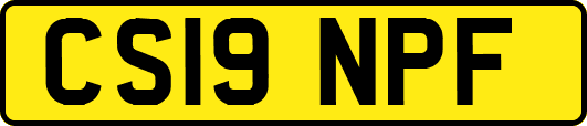 CS19NPF