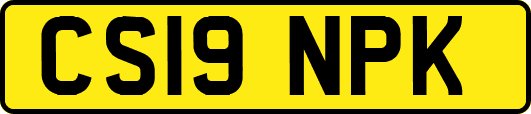 CS19NPK