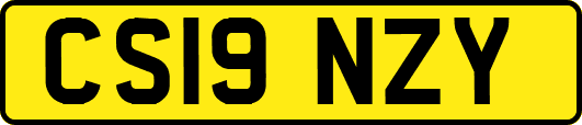 CS19NZY