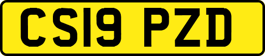 CS19PZD