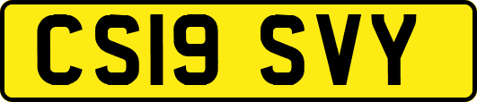 CS19SVY