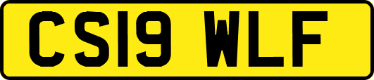 CS19WLF