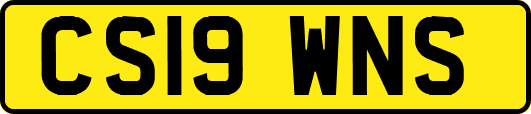 CS19WNS