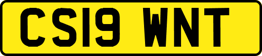 CS19WNT