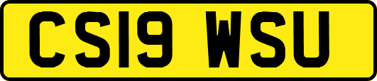 CS19WSU