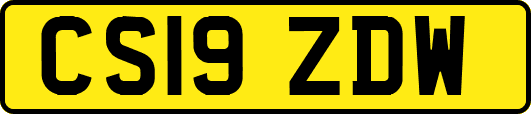 CS19ZDW