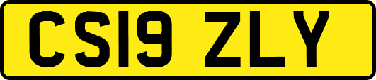 CS19ZLY