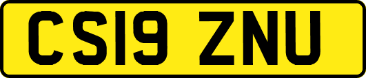 CS19ZNU