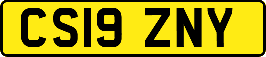 CS19ZNY