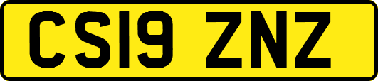 CS19ZNZ