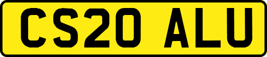 CS20ALU