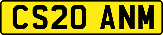 CS20ANM