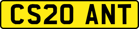 CS20ANT