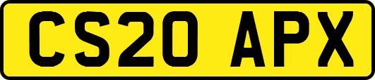 CS20APX