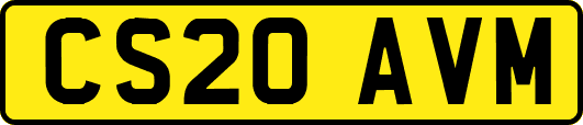 CS20AVM