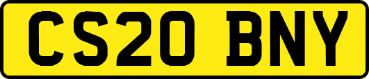CS20BNY