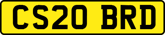 CS20BRD