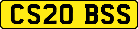 CS20BSS
