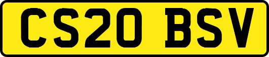 CS20BSV